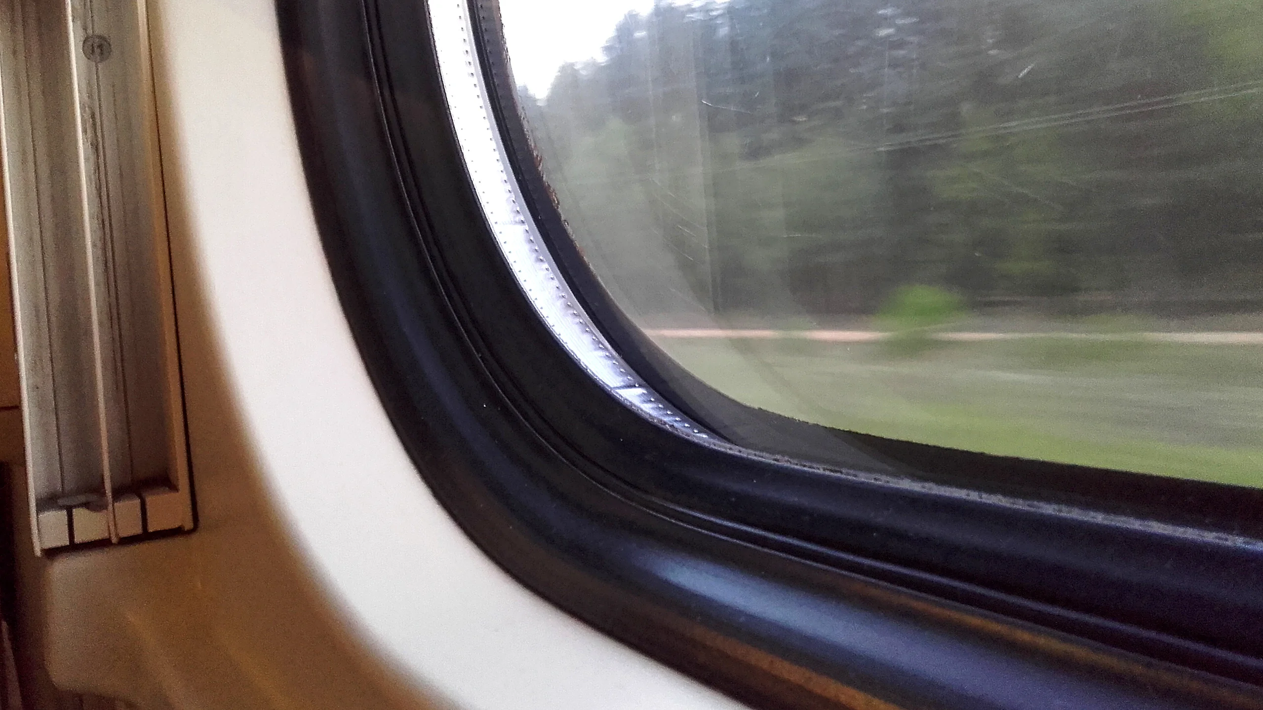 A train window with a forest flashing by. The kindness of strangers was needed when the train was delayed.