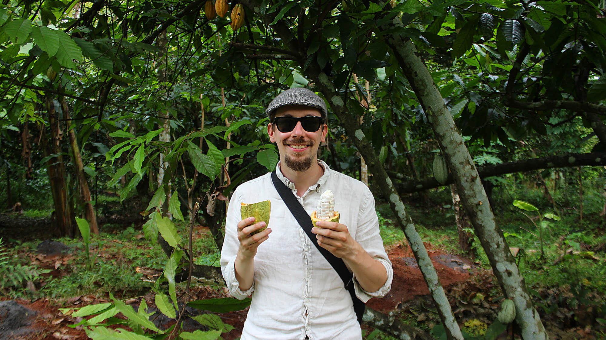 Tourist visiting Kerala during the monsoon season holding and tasting a fresh cacao fruit from a tree.