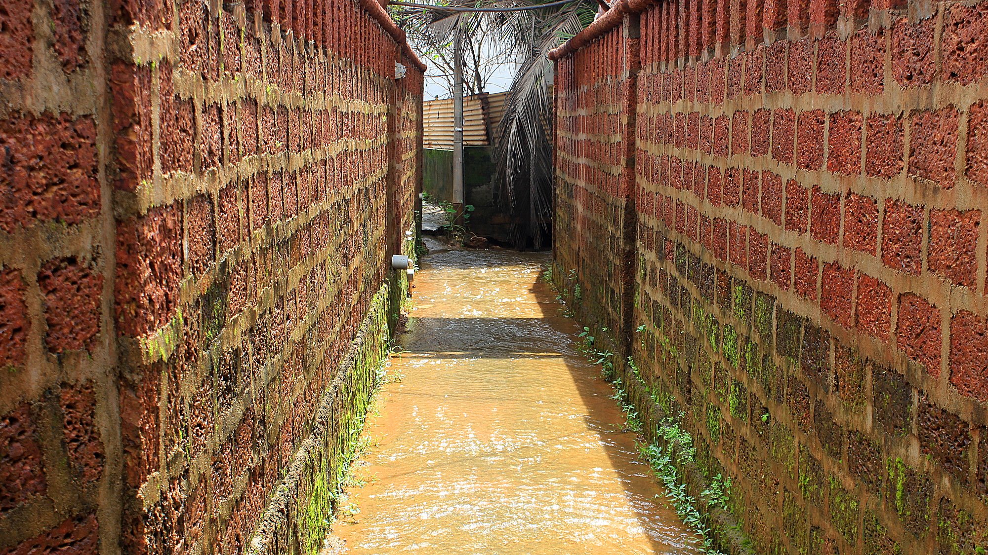A small path with flowing water between two red brick walls.