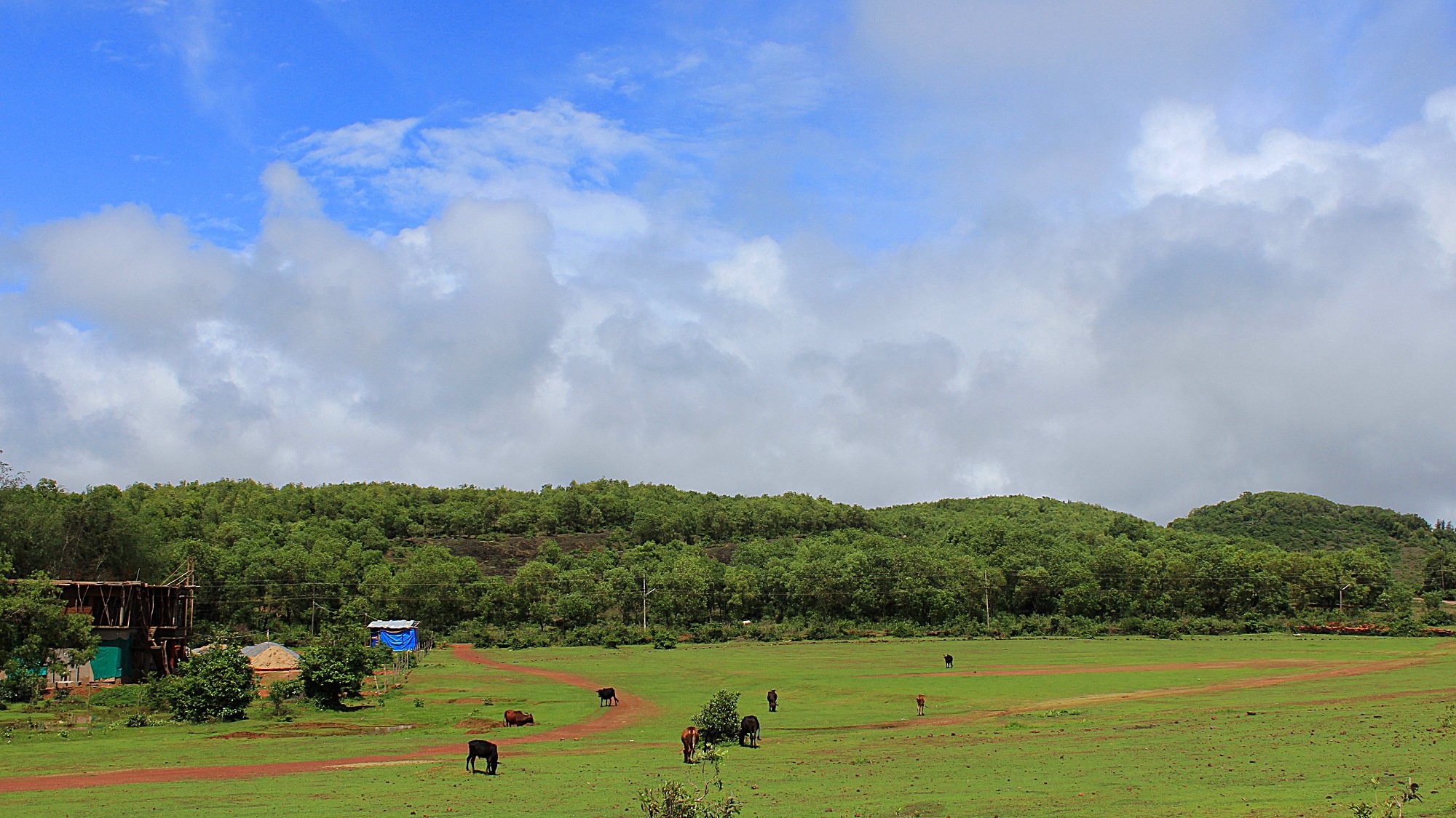 Empty green field south of Gokarna.