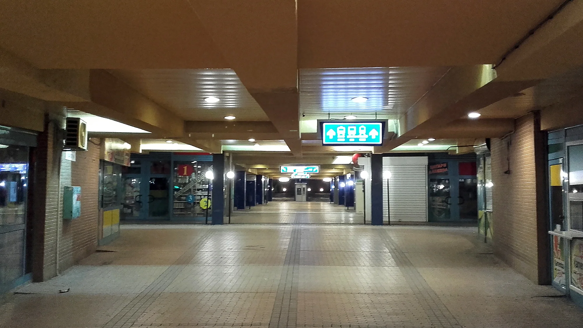 The Fellowship of Travelers. Sofia train station tunnel at night.