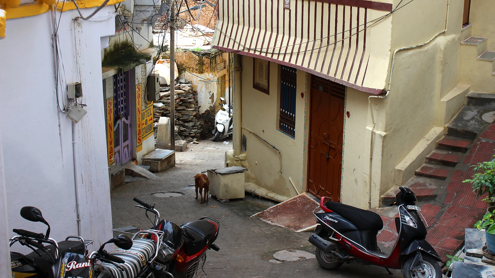Another narrow side street in Udaipur with parked motorcycles and a stray dog walking downhill.