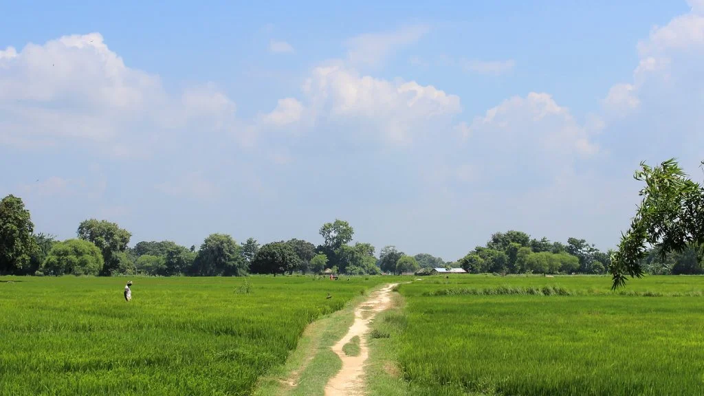 A narrow countryside path in the countryside in Nepal. Views after the border crossing from India to Lumbini.