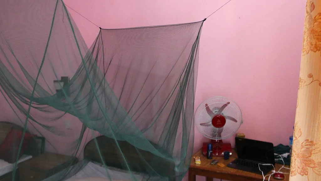 A green mosquito net set on a single bed in a guesthouse.