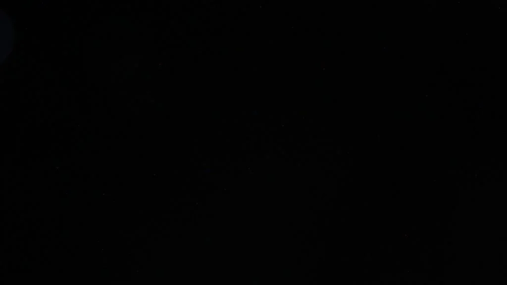 A completely black picture. A failed photo of the sky full of stars.