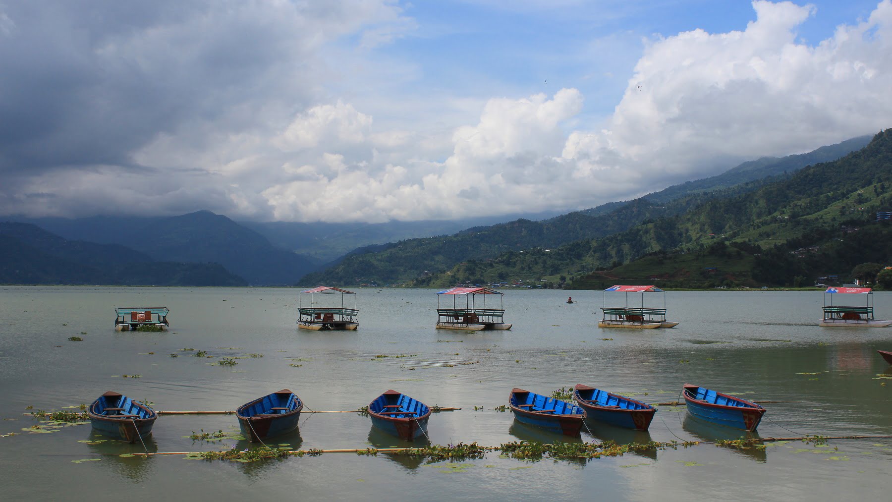 Boats on the Phewa Lake, Pokhara.