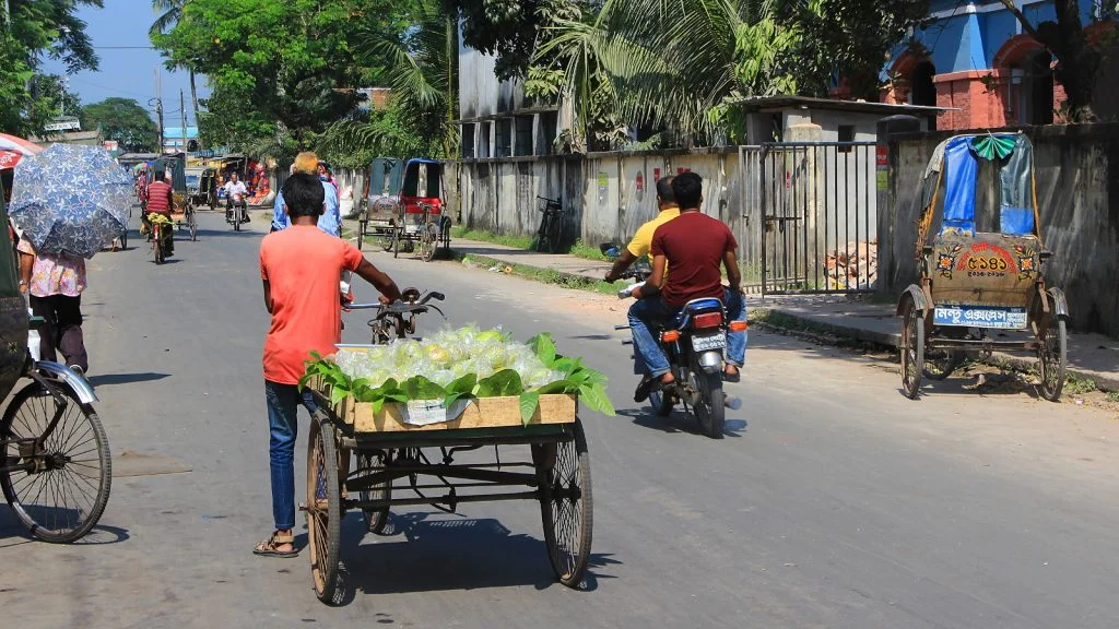 A street vendor with a pallet full of fruits at the back of his cycle rickshaw.