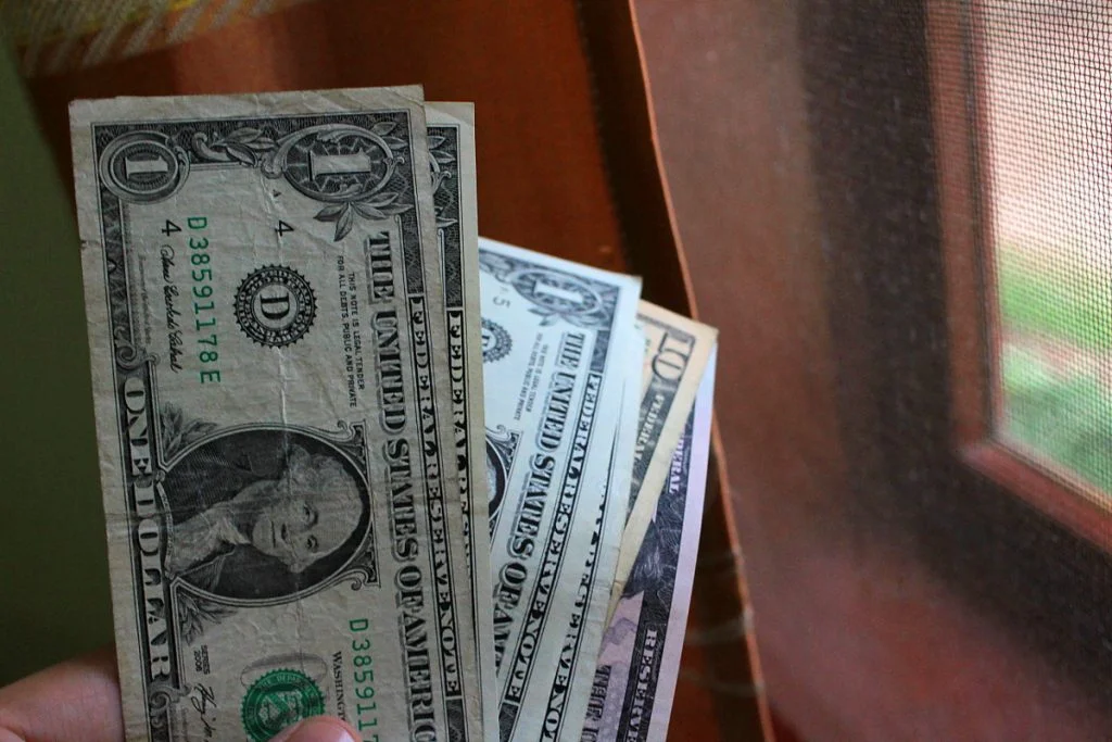 A set of US dollar bills on the hand.