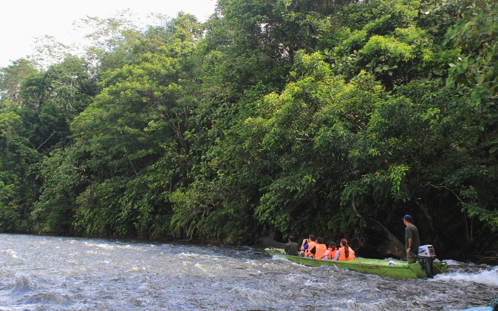 Small boat in the river in Ulu Temburong National Park, Brunei Darussalam. Ulu Temburong National Park Entrance Fee