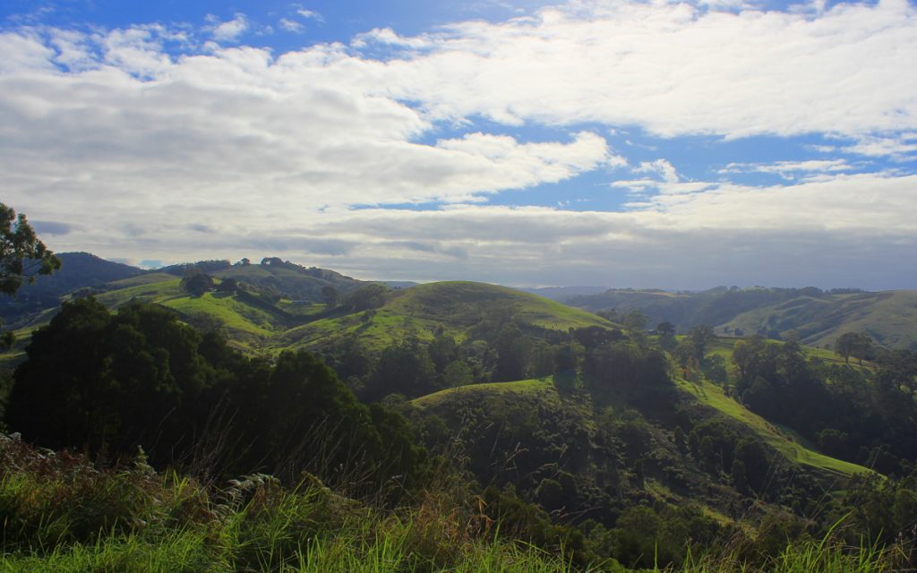 There's a surprising amount of variety in the scenery of the Great Ocean Road.