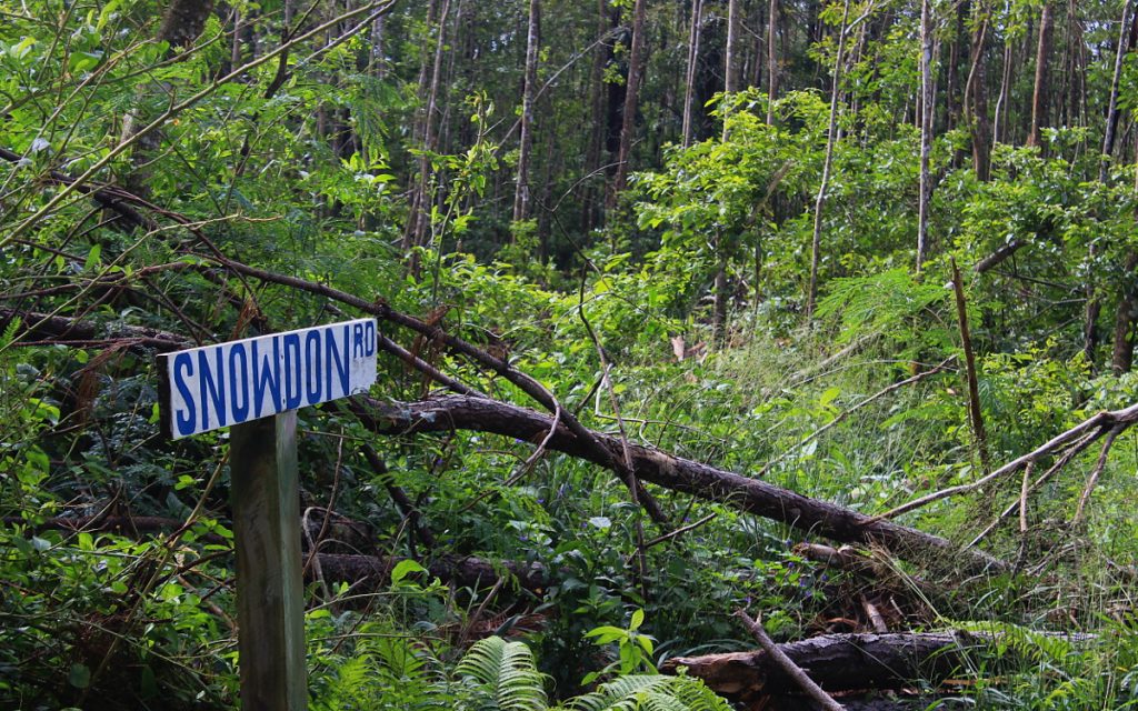 Hiking in Tonga. A road sign on a trekking path in 'Eua-