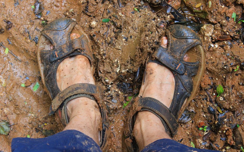 Sandals on wet mud, hiking in Tonga.
