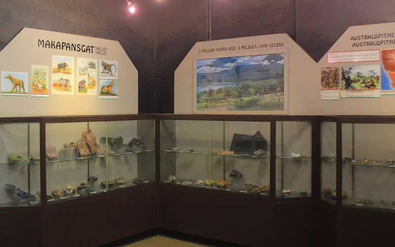 Makapansgat Caves exhibition in Arend Dieperink Museum, Mokopane. Fossils on display.