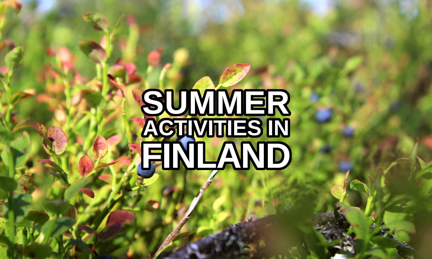 Things to do in Finland in the Summer