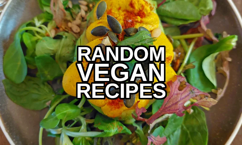 random vegan recipes