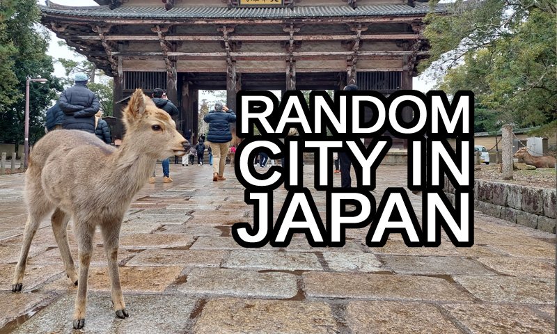 Random City in Japan text with a baby deer and a shinto gate in the town of Nara in the background